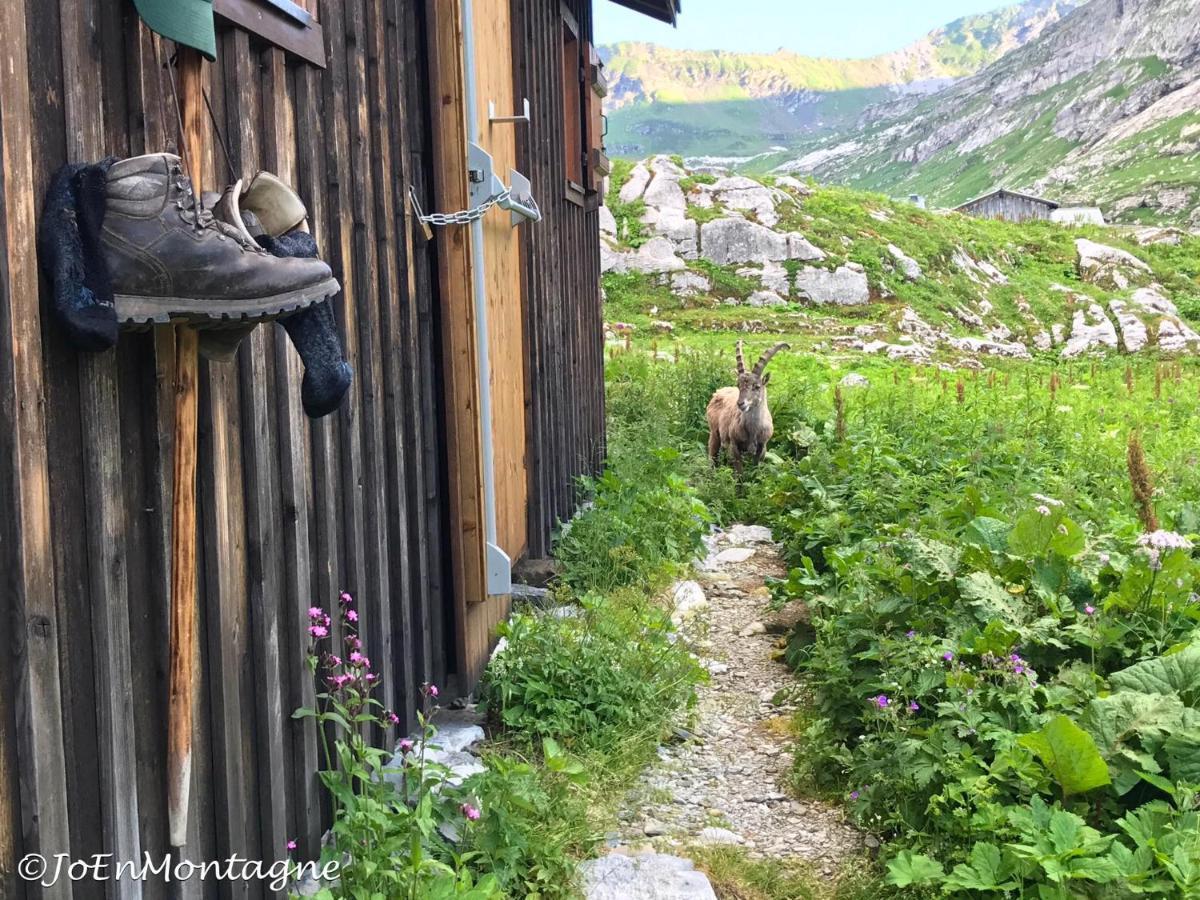 Village Vacances Le Salvagny Sixt-Fer-a-Cheval Экстерьер фото